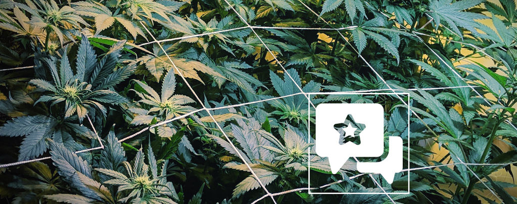Sortsanmeldelse: Casey Jones