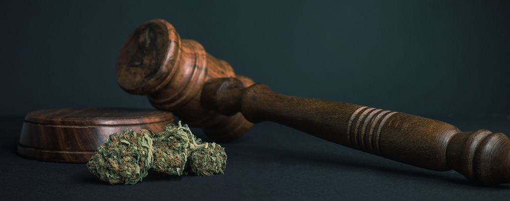 10 grunde til, at alle stoffer bør legaliseres