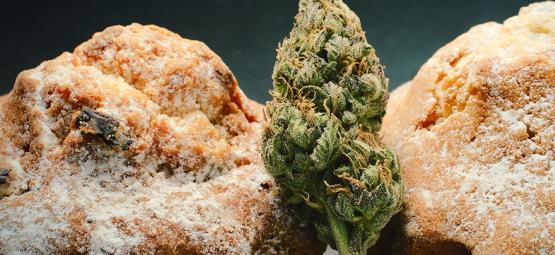 Den hollandske renæssance for spiselige cannabisprodukter