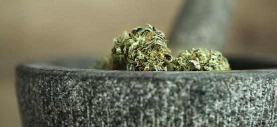 10 måder at kværne cannabis uden en grinder (opdatering 2026)