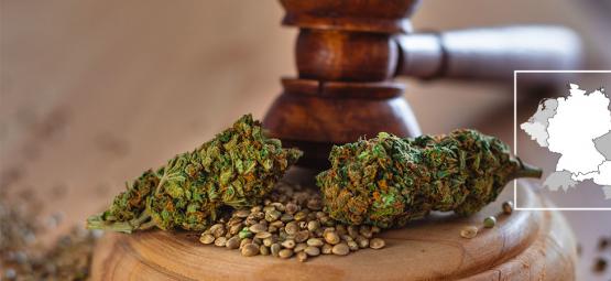 Tyskland legaliserer cannabis i 2024