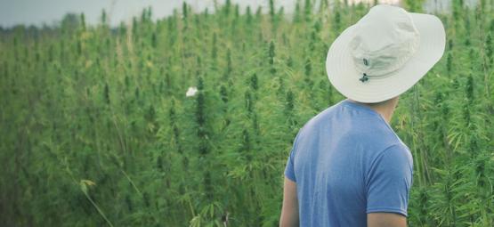Den anerkendte cannabispioner Franco Loja er død, 42 år gammel