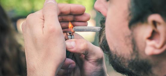 Hvad får cannabis til at brænde hurtigt eller langsomt