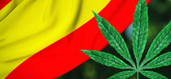 Regulering breder sig: Bilbao i Spanien vil regulere cannabisklubber