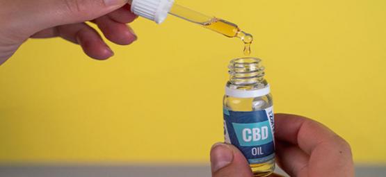 Fordele ved CBD-olie: Bør du bruge det?