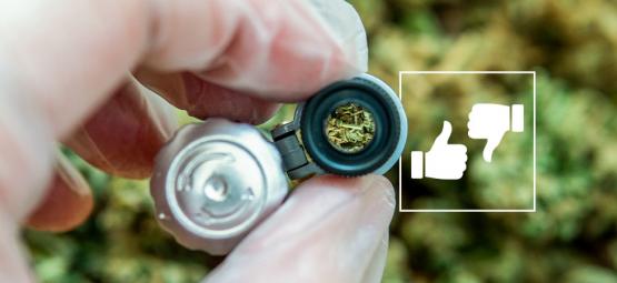 God vs. dårlig cannabis: Sådan ser du forskel