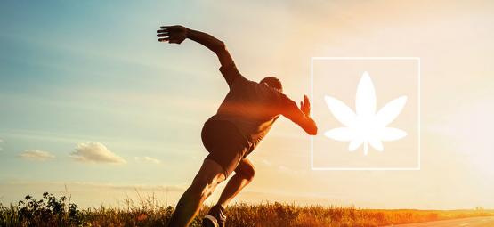 Effekten af cannabis på sportspræstationer