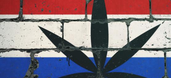 Her er de 10 bedste smoke spots i Nederlandene