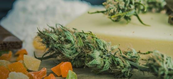Bedste cannabissorter til at lave cannabis-spiselige produkter