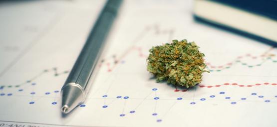 Fordele (og ulemper) ved at bruge cannabis til at studere eller træne