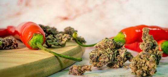 De overraskende fordele ved at kombinere cannabis og stærke chilier