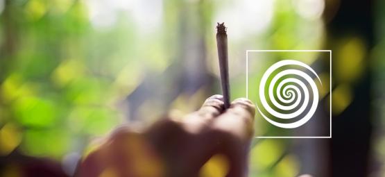 Kan man få en psykedelisk oplevelse af cannabis?
