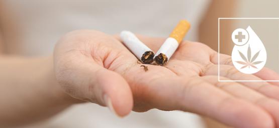 Stop med at ryge i dag med CBD: den naturlige løsning