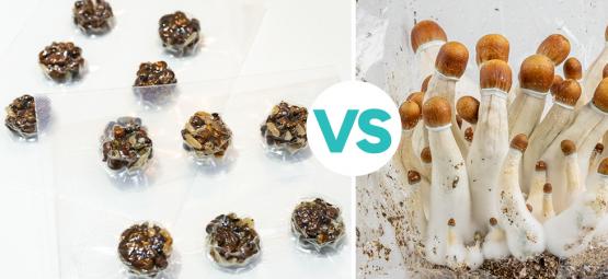 Magiske trøfler vs. magiske svampe: Hvem løber med sejren?