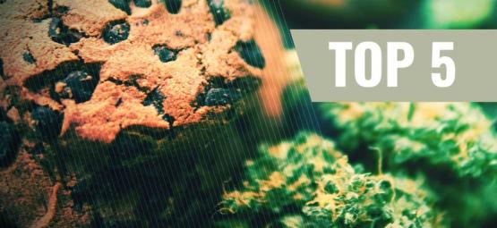 Top 5 opskrifter på cannabis-cookies