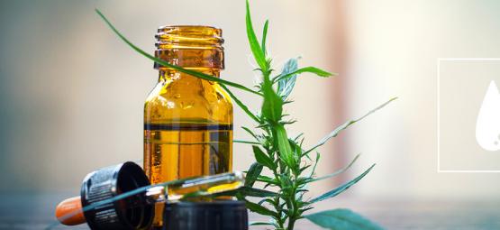 En komplet guide til CO₂-ekstraheret cannabisolie