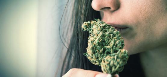 Sådan fjerner du cannabislugt