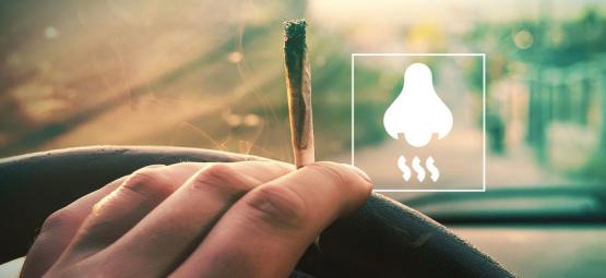 Sådan fjerner du cannabislugt fra din bil
