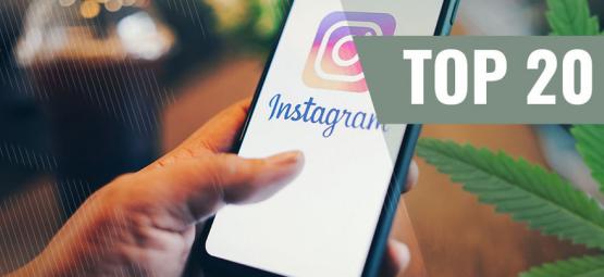 20 bedste cannabis-Instagram-konti at følge [2024-opdatering]