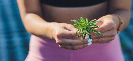 Kan cannabis hjælpe dig med at tabe dig?