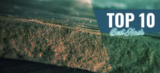 Top 10 bedste hash i Amsterdam