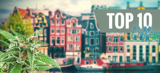 Top 10 cannabissorter fra coffeeshops