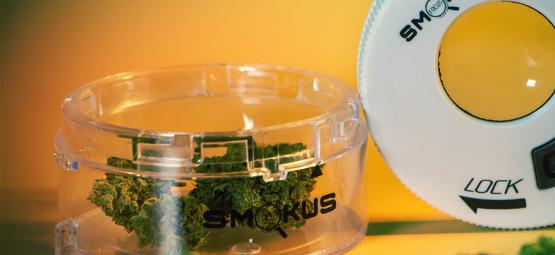 Opbevar din cannabis som en pro med Smokus Focus opbevaringsglas
