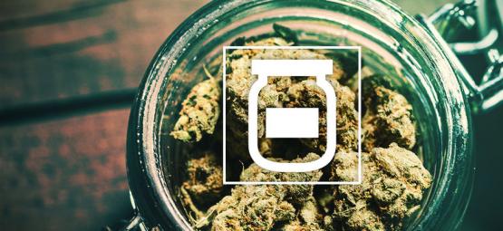 Sådan undgår du skimmel, når du opbevarer cannabis