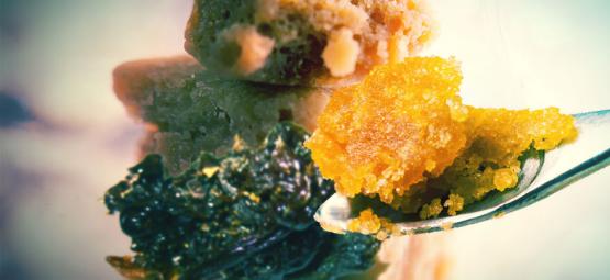Hvad er forskellen på rosin, resin og live resin?