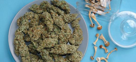 Kan man blande cannabis og magiske svampe?
