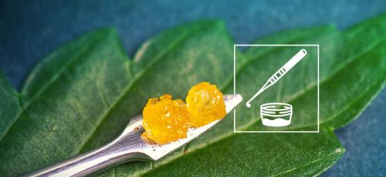 Alt, du skal vide om Live Resin