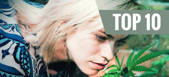 Top 10 cannabis-sorter med lav lugt for at minimere duften