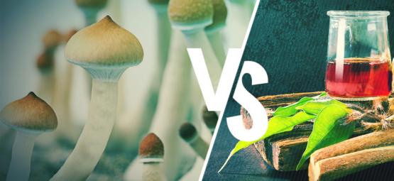 Ayahuasca vs. magiske svampe: Hvad er forskellen?