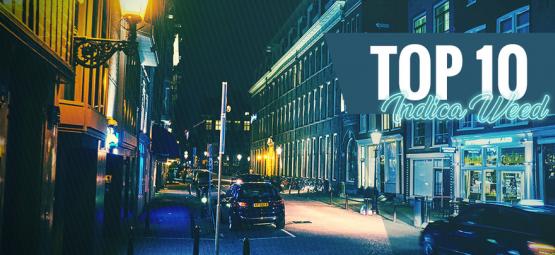 Top 10 bedste indica-cannabis i Amsterdam