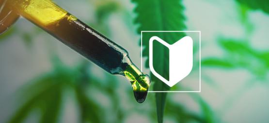 3 cannabiskoncentrater, der er perfekte for begyndere
