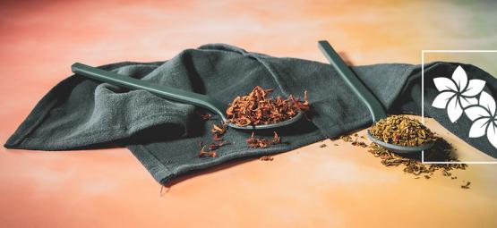 Wild dagga og klip dagga: Hvad er forskellen?