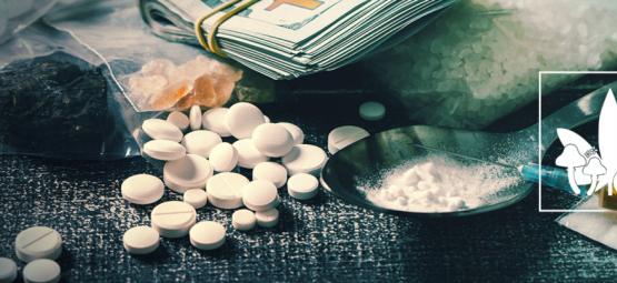 Bør du blande stoffer? Et overblik over polydrugbrug