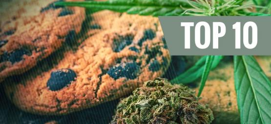 Top 10 fejl, når du laver mad med cannabis (og sådan undgår du dem)