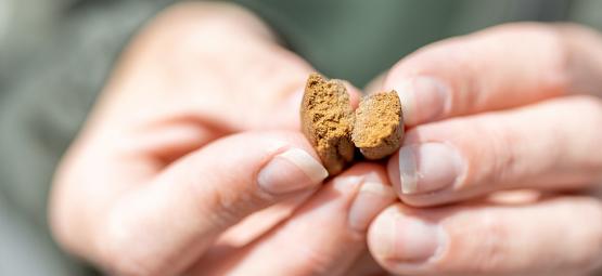 Sådan genkender du hash af høj kvalitet