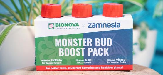 Brug Monster Bud Boost Pack til at dyrk mere frugtige cannabisblomster