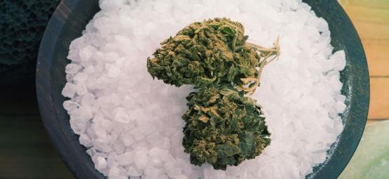Hvordan kan Epsom-salt gavne dine cannabisplanter?
