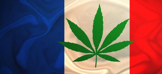 Frankrig uddeler gratis cannabis i 2024