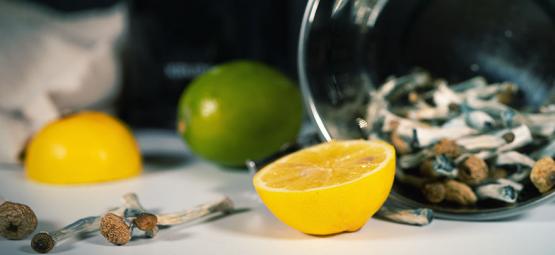 Sådan laver du lemon tek til en hurtigere svampe-/trøffeltrip