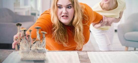 Er magiske svampe vanedannende?
