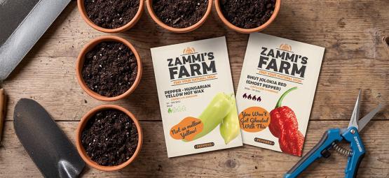 Sådan dyrker du chili: En trin-for-trin-guide til udendørs dyrkning
