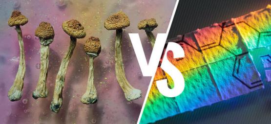 Magiske svampe vs. LSD: Hvad er forskellen?
