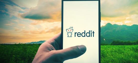 Top 10 Reddit-fællesskaber om cannabis