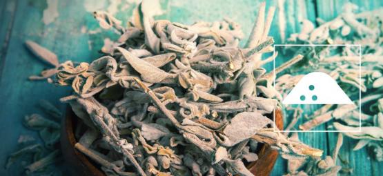 Sådan laver du Salvia divinorum-ekstrakt af tørrede blade