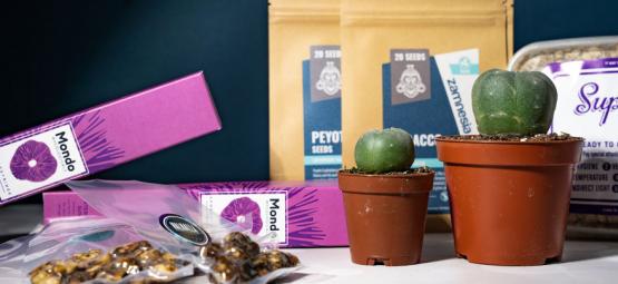 10 bedste gaver til psykonauter
