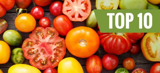 10 tomatsorter du kan dyrke